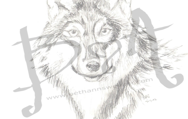 Wolf Sketch 8.5x11 Poster Print
